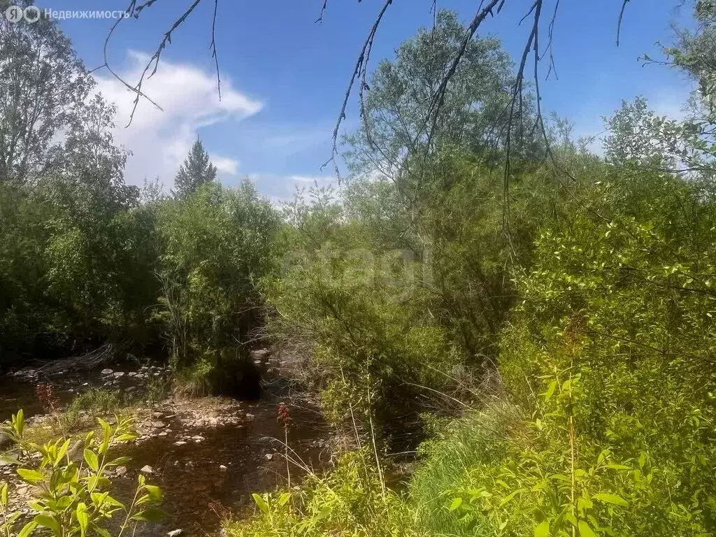 Участок в Читинский район, НСТ № 20 Никишиха, 20 (15 м) - Фото 1