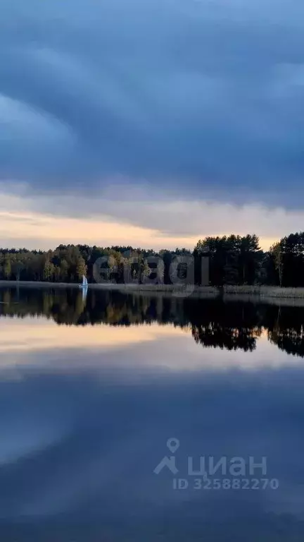 Участок в Нижегородская область, Навашинский муниципальный округ, с. ... - Фото 1