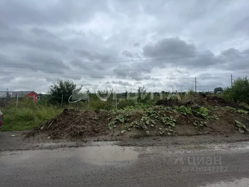 Участок в Тюменская область, Тюменский район, Москвичка СНТ ул. ... - Фото 1