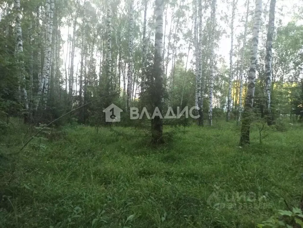 Участок в Владимирская область, Собинский муниципальный округ, д. ... - Фото 1