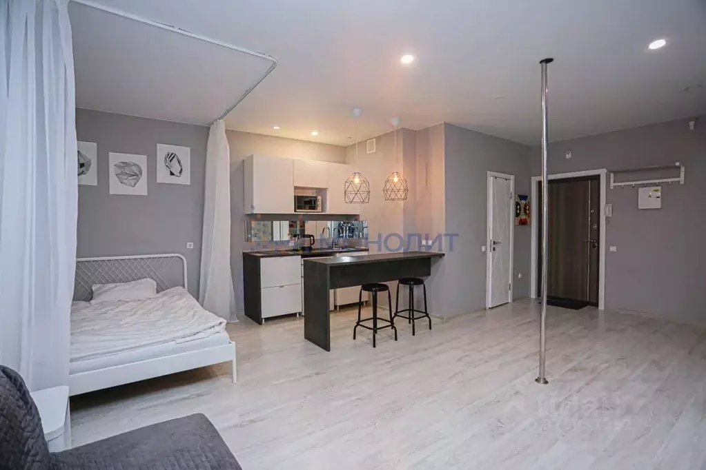 Студия Нижегородская область, Нижний Новгород д. Афонино, ул. ... - Фото 2