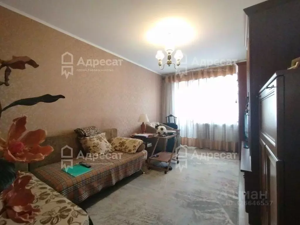 2-к кв. Волгоградская область, Волгоград Советская ул., 49 (42.9 м) - Фото 2