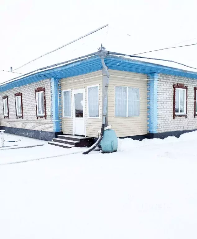 Коттедж в Омская область, Азовский Немецкий Национальный район, с. ... - Фото 2