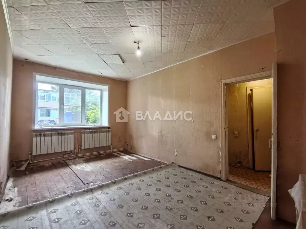 1-к кв. Ивановская область, Ивановский район, с. Ново-Талицы ул. ... - Фото 2