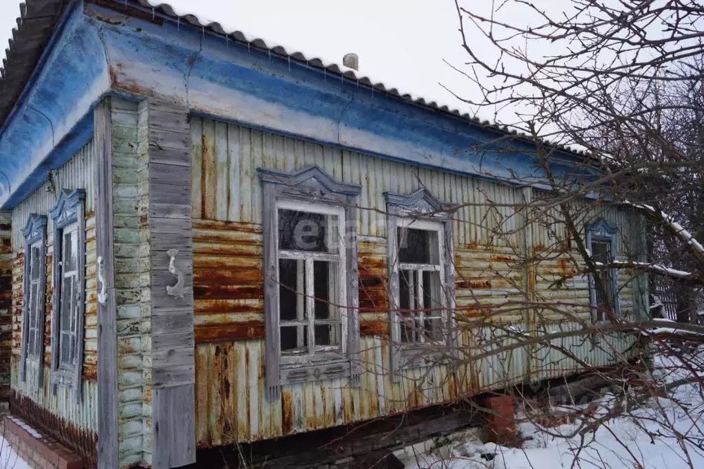 Дом в Воронежская область, Грибановский пгт ул. Кавказская, 31 (50 м) - Фото 0