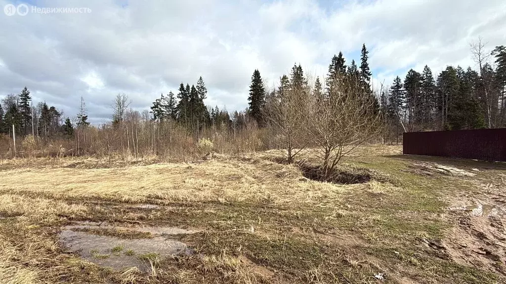 Участок в Наро-Фоминский городской округ, садоводческое некоммерческое ... - Фото 1