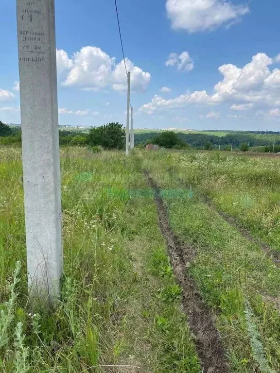 Участок в Белгородская область, Белгородский район, Беломестненское ... - Фото 1