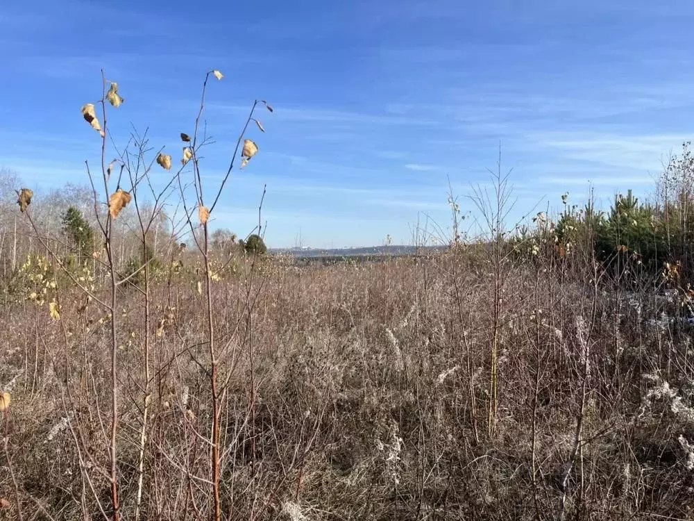 Участок в Иркутская область, Иркутский муниципальный округ, с. ... - Фото 1