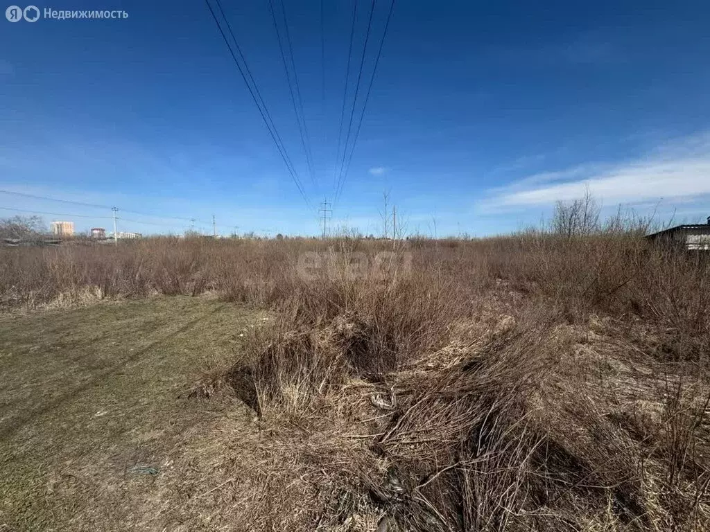 Участок в Курган, СНТ Садовод-Любитель Кургансельстроя (5.56 м) - Фото 2