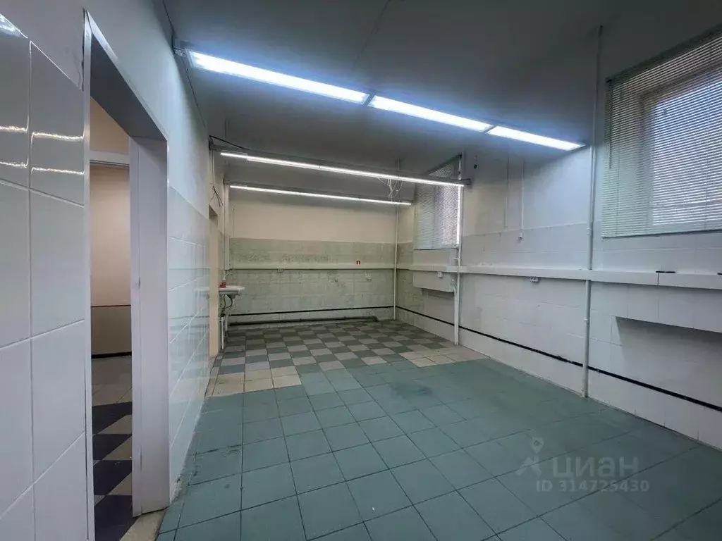 Помещение свободного назначения в Удмуртия, Ижевск Областная ул., 20 ... - Фото 1