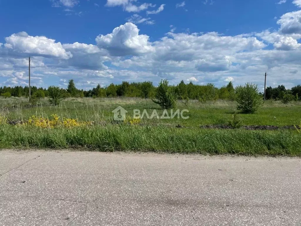 Участок в Пензенская область, Шемышейский район, с. Старая Яксарка ... - Фото 1