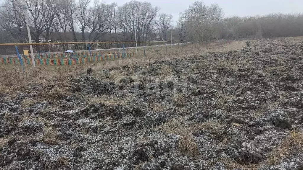 Участок в Белгородская область, Корочанский муниципальный округ, с. ... - Фото 2