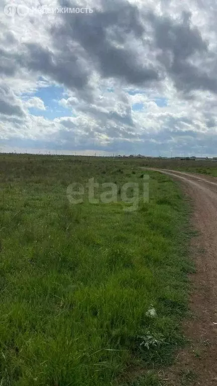 Участок в Сакский район, Молочненское сельское поселение, село Витино ... - Фото 2