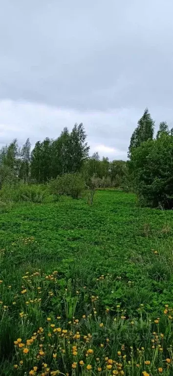 Участок в Псковская область, Псковский район, Карамышевская волость, ... - Фото 0