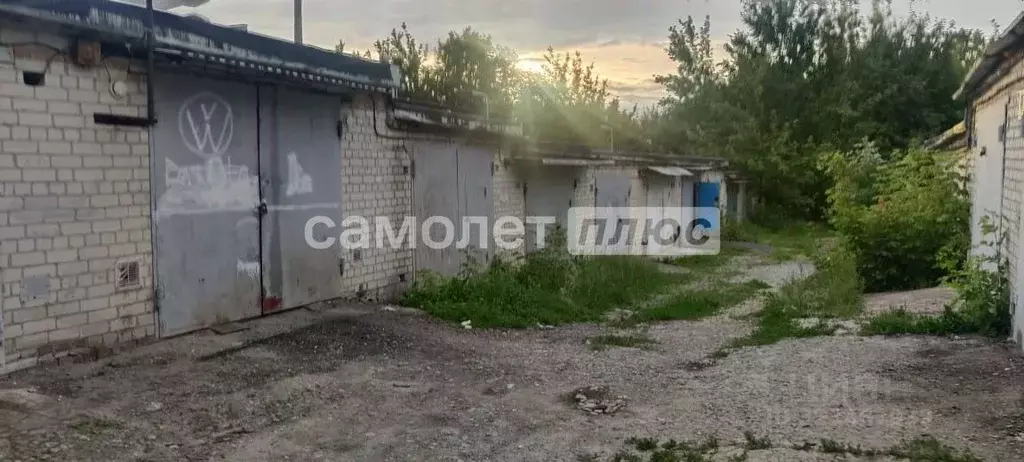 Гараж в Белгородская область, Белгород ул. Щорса, 2 (24 м) - Фото 2