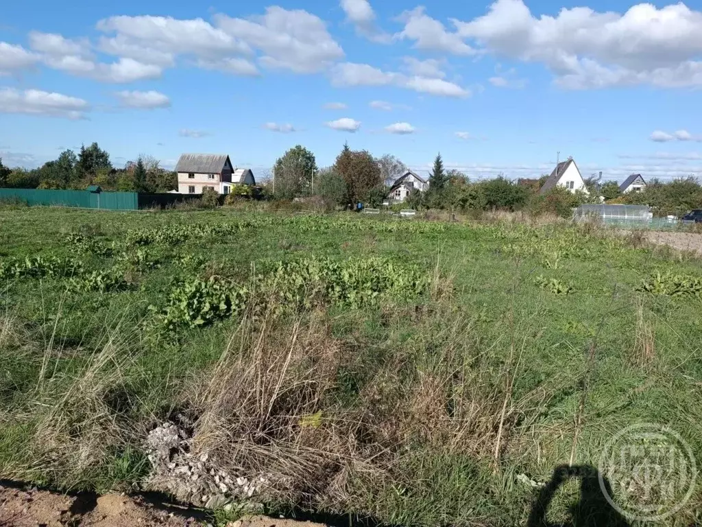 Участок в Ленинградская область, Ломоносовский район, Аннинское ... - Фото 2