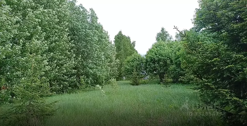 Участок в Московская область, Наро-Фоминский городской округ, д. ... - Фото 1