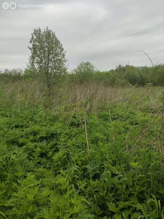 Участок в Архангельск, Цигломенский округ, улица Севстрой (10 м) - Фото 1