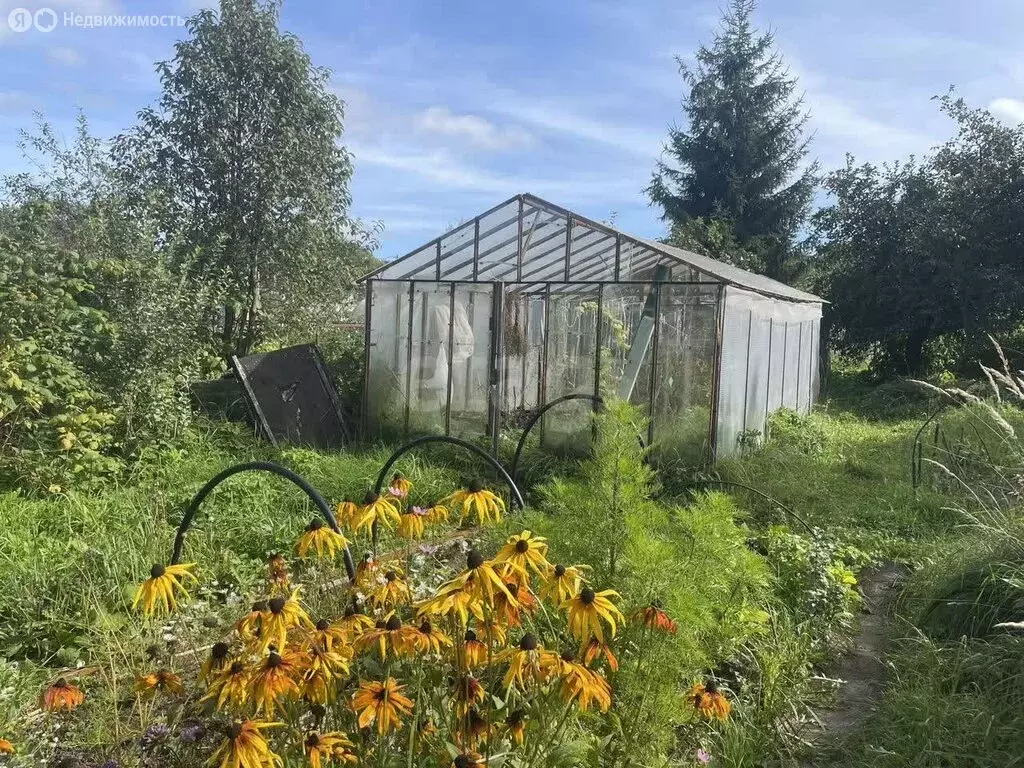 Участок в Кострома, СТ Виктория-2 (5 м) - Фото 1