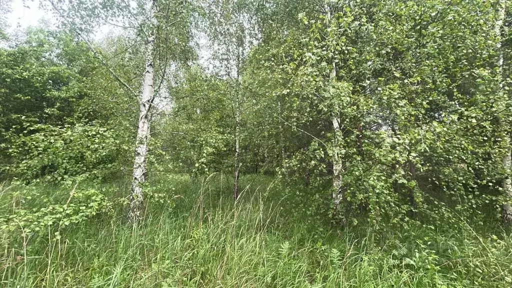 Участок в Московская область, Ступино городской округ, с. Мещерино  ... - Фото 0