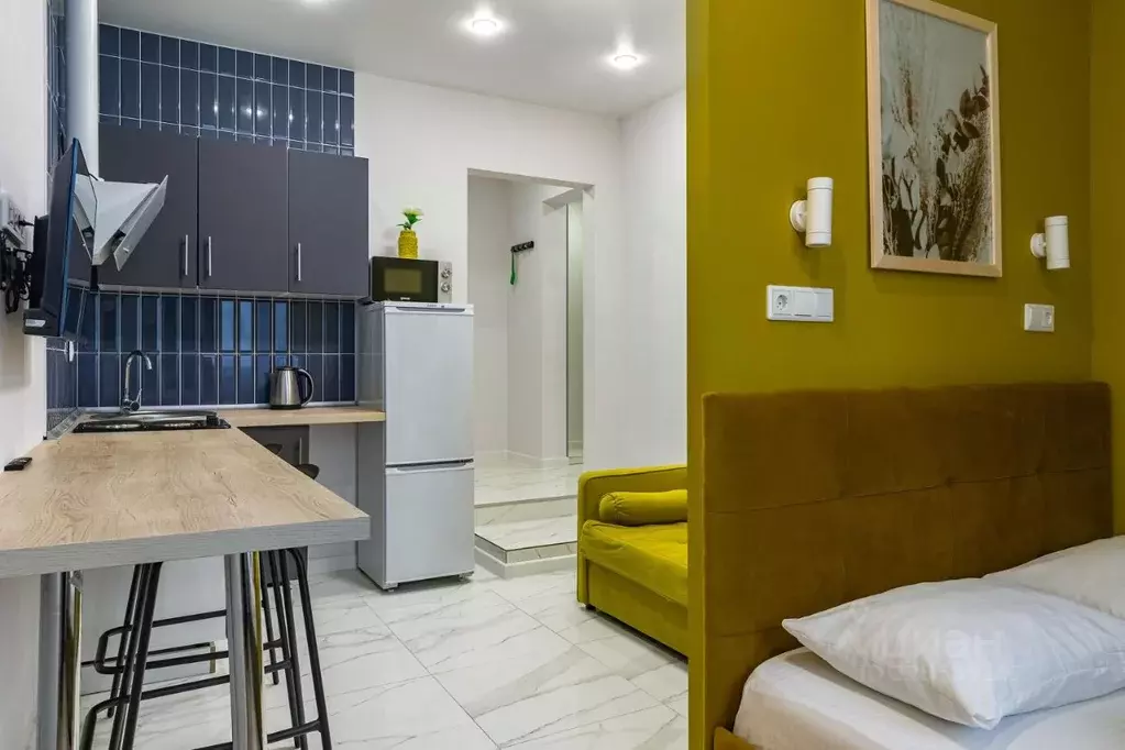 1-к кв. Москва Внуковское поселение, ул. Летчика Ульянина, 7 (18.0 м) - Фото 1