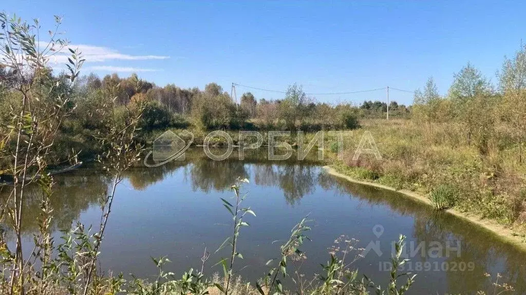 Участок в Тюменская область, Нижнетавдинский район, Царицыно СНТ  (9.3 ... - Фото 0