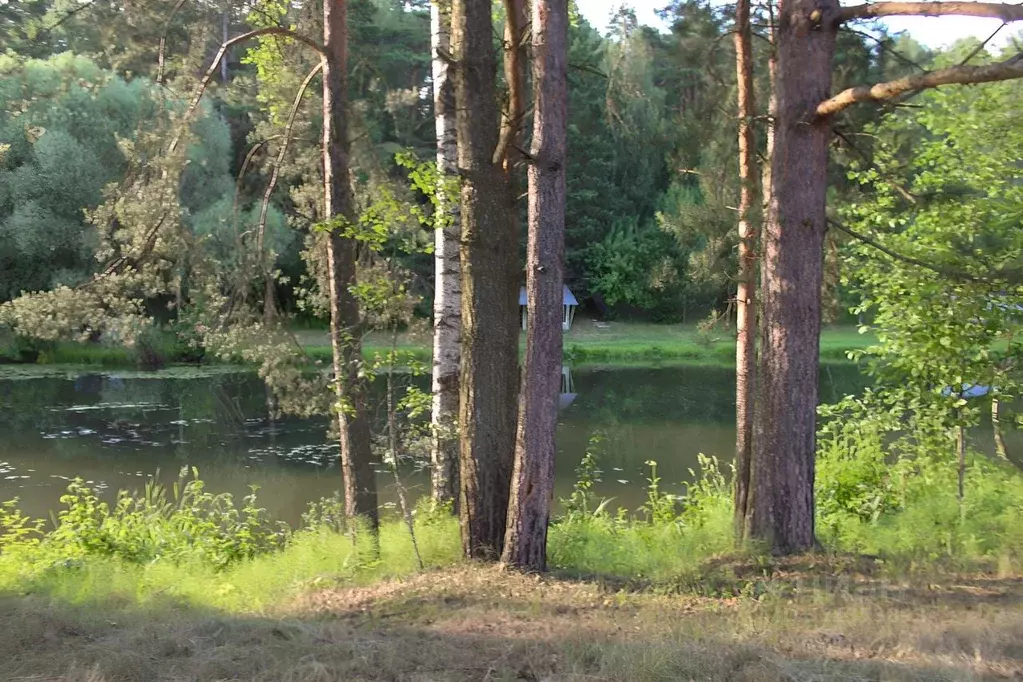 Участок в Московская область, Домодедово городской округ, д. Голубино ... - Фото 0