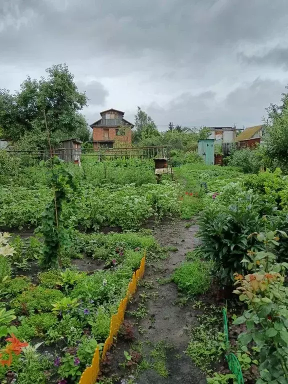 Участок в Омская область, Омск СНТ Сибзаводовец ТСН, аллея 2-я (6.0 ... - Фото 0