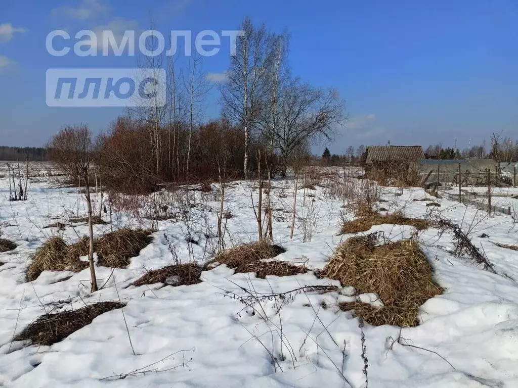 Участок в Ленинградская область, Тосненское городское поселение, с. ... - Фото 0