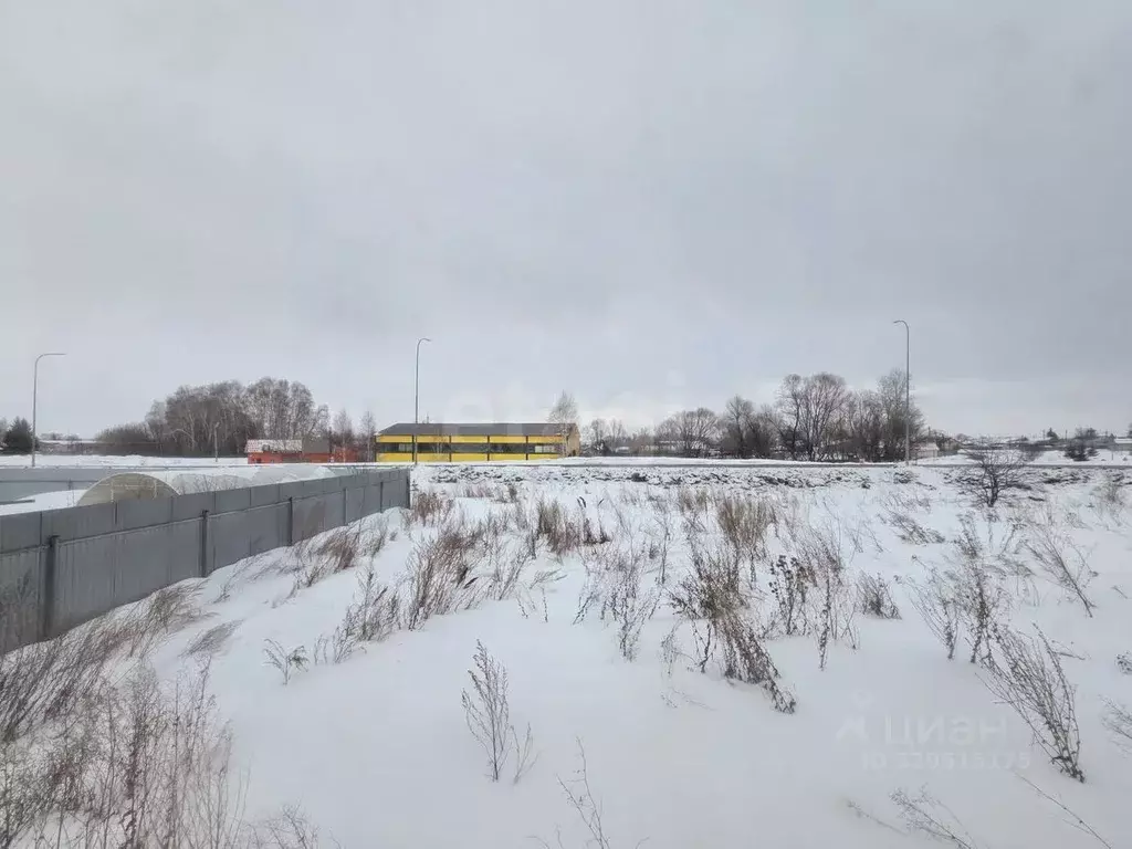 Участок в Татарстан, Мензелинск ул. Хадичи Салимовой, 1Б (10.0 сот.) - Фото 1