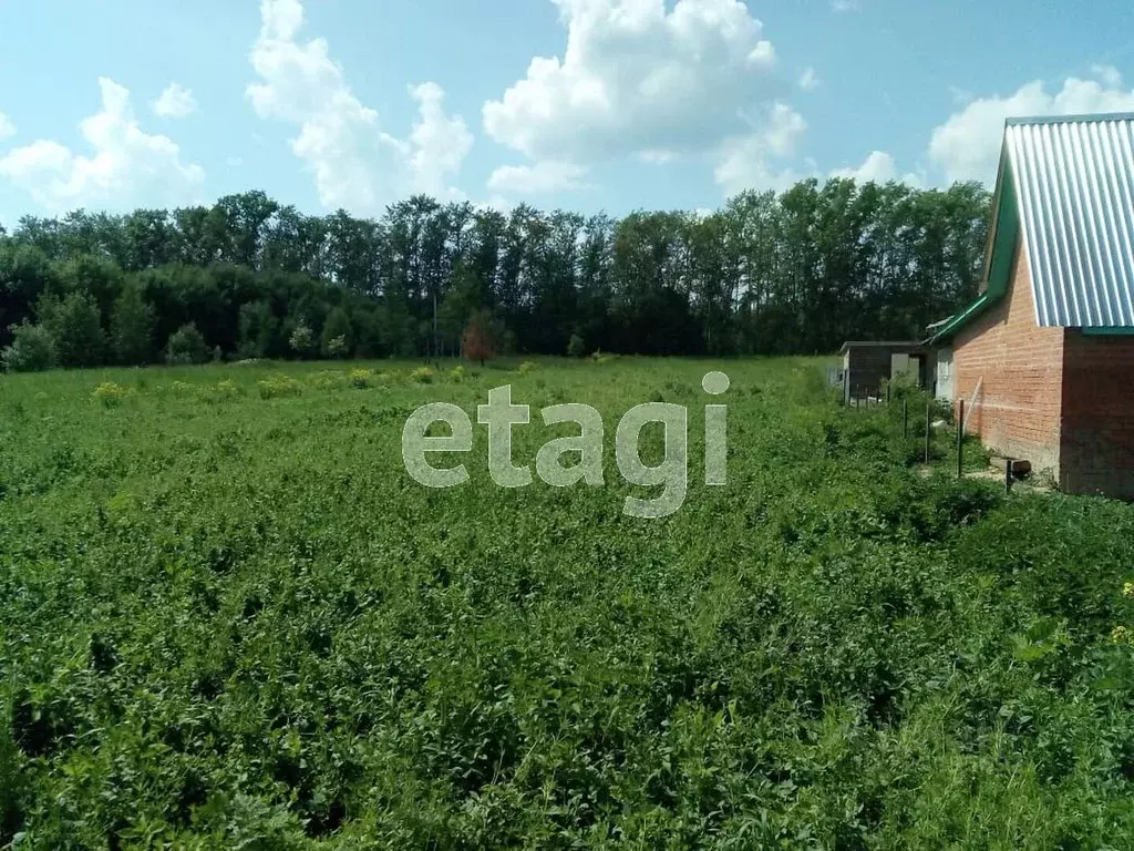 Участок в Калужская область, Бабынинский муниципальный округ, ... - Фото 1