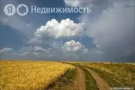 Участок в Новосибирск (196000 м) - Фото 0