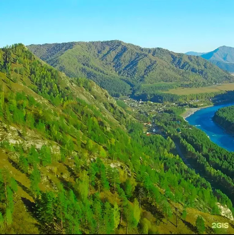 Участок в Алтай, Чемальский район, Узнезинское с/пос, Вилладж Парк ... - Фото 1