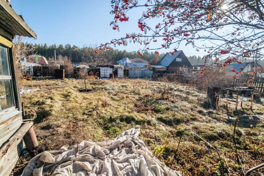 Участок в Алтайский край, Барнаул Фиалка СНТ, ул. Власихинская, ... - Фото 1