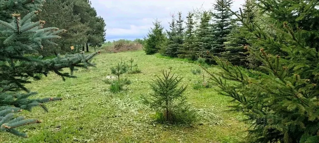 Участок в Московская область, Подольск городской округ, д. Лопаткино  ... - Фото 2