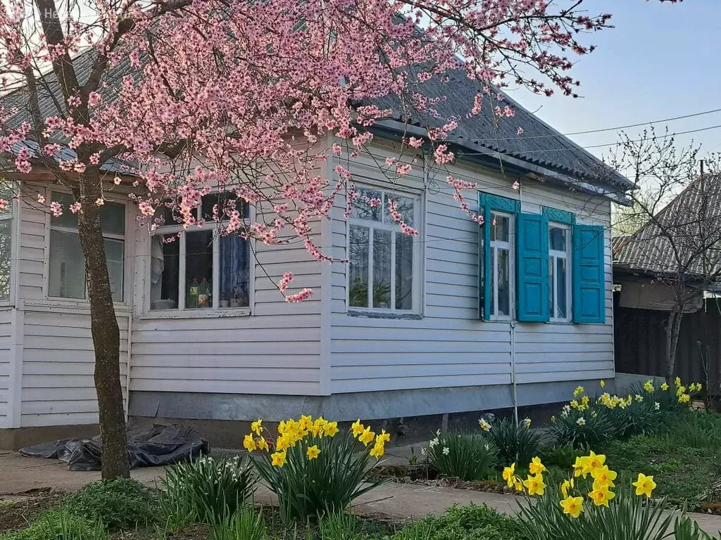 Дом в Апшеронск, Партизанская улица (35 м) - Фото 0