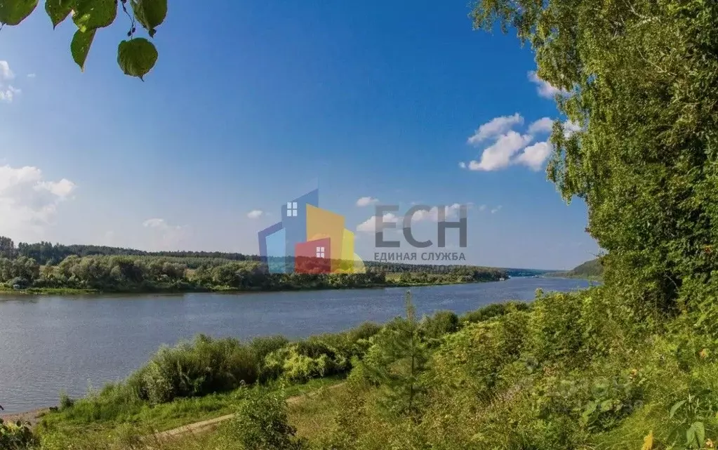 Участок в Тульская область, Алексин городской округ, д. Егнышевка  ... - Фото 2