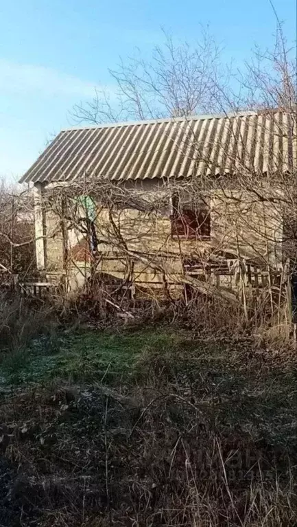 Участок в Крым, Красноперекопск Мичуринец садовое общество, ул. ... - Фото 1