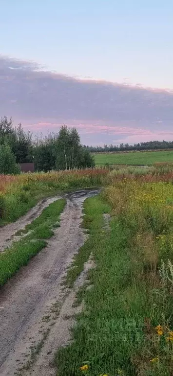 Дом в Московская область, Богородский городской округ, д. Кабаново ул. ... - Фото 1