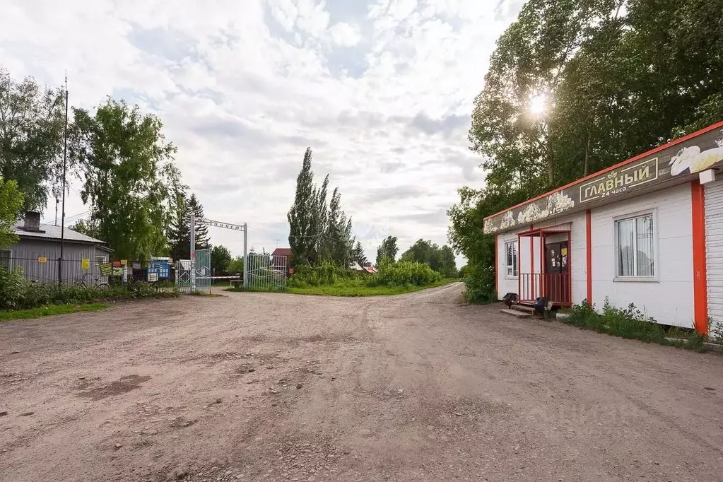 Дом в Новосибирская область, Новосибирский район, Толмачевский ... - Фото 1
