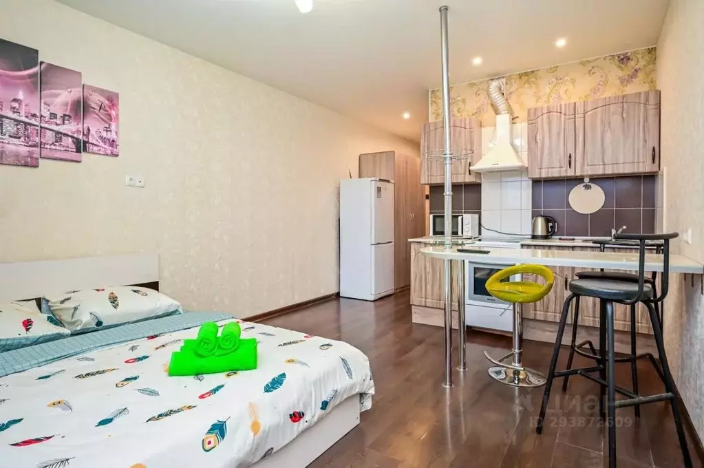 1-к кв. Московская область, Ногинск Богородский городской округ, ул. ... - Фото 1