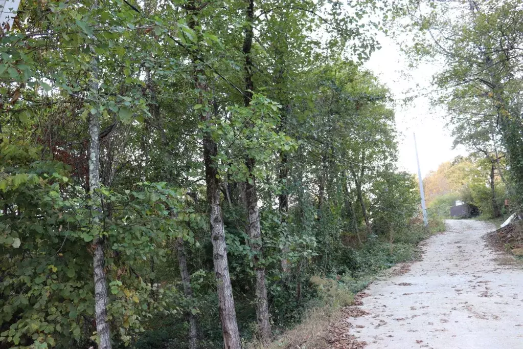 Участок в Краснодарский край, Сочи городской округ, с. Орел-Изумруд ... - Фото 1