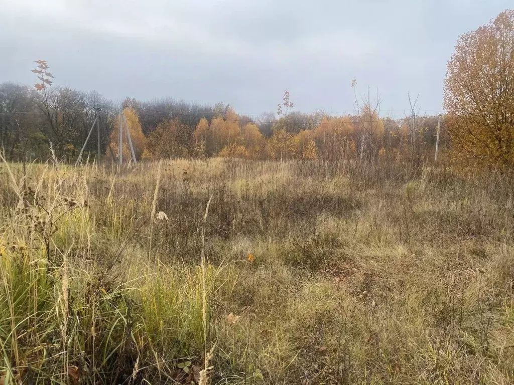 Участок в Московская область, Зарайск муниципальный округ, д. ... - Фото 0