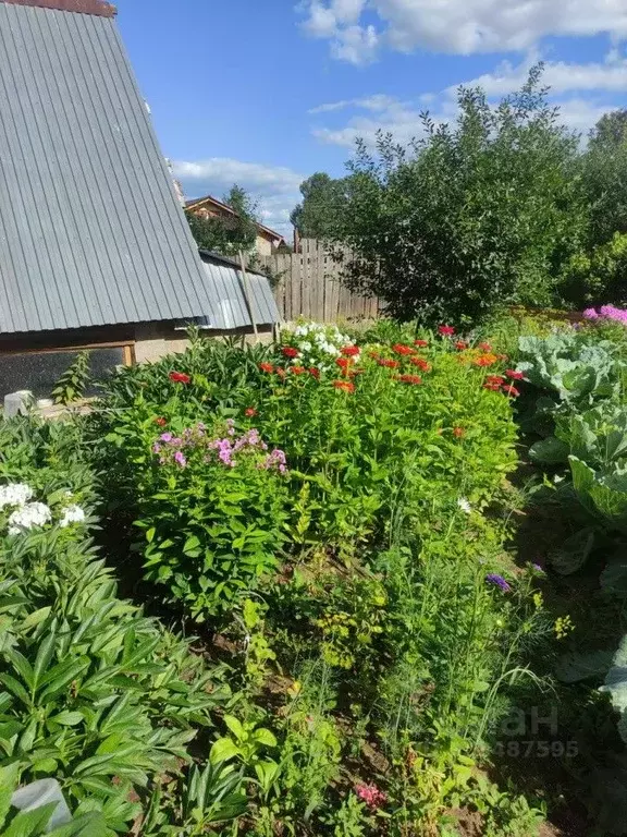 Дом в Удмуртия, Воткинск ул. Володарского, 144 (33 м) - Фото 1