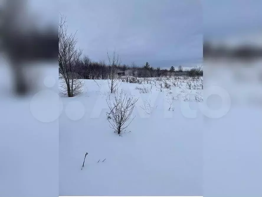 Участок 11 сот. (СНТ, ДНП) - Фото 1