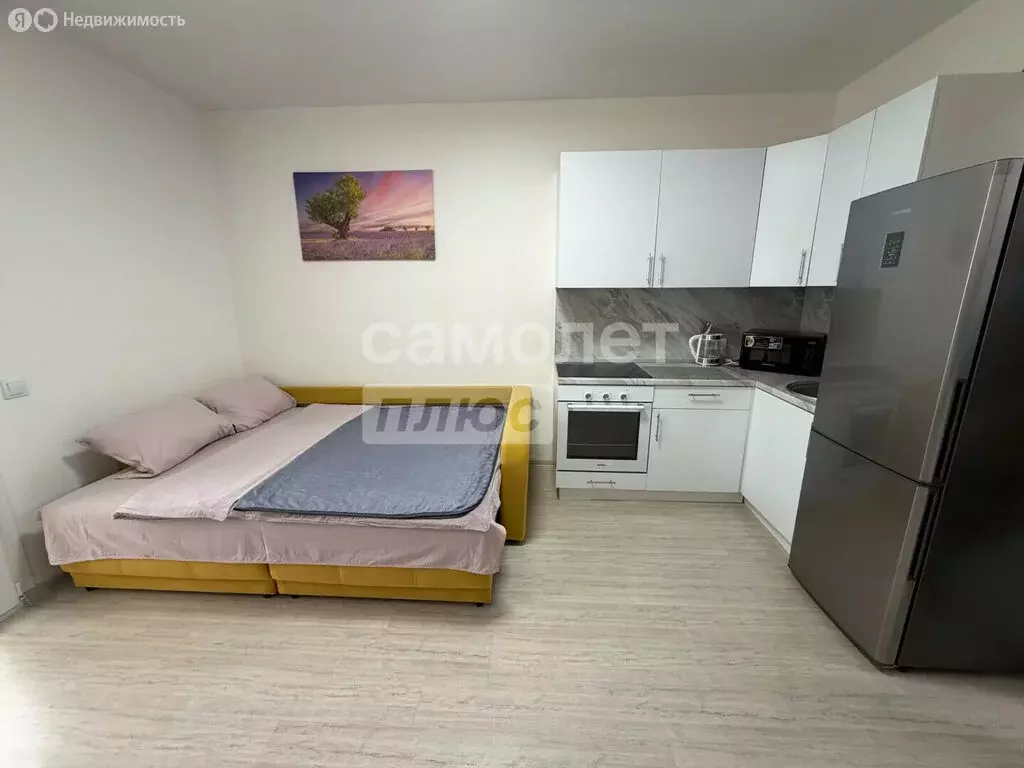 Квартира-студия: деревня Анкудиновка, Черкесская улица, 1 (24.7 м) - Фото 2