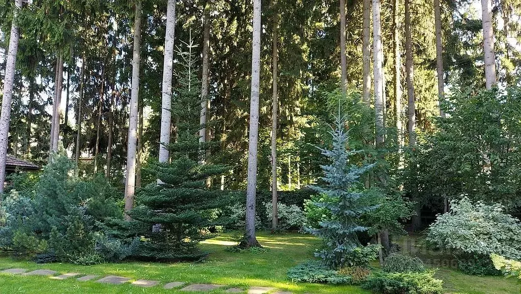 Дом в Московская область, Одинцовский городской округ, д. Бородки ул. ... - Фото 1