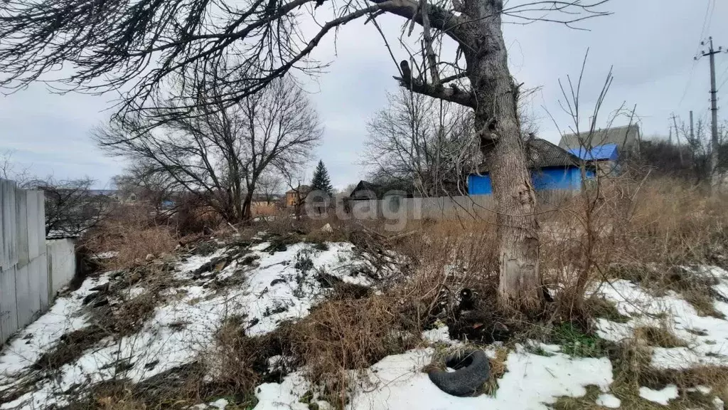 Участок в Белгородская область, Валуйки ул. Крюкова (13.0 сот.) - Фото 0