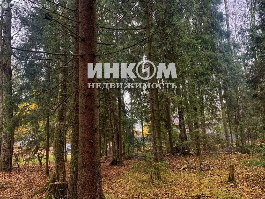 Участок в Московская область, городской округ Пушкинский, деревня ... - Фото 2