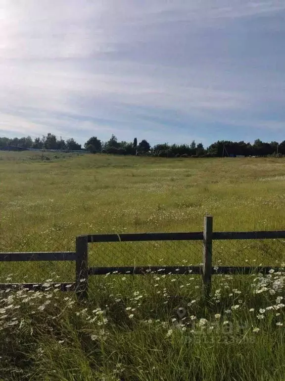 Участок в Севастополь с. Передовое, ул. Прудовая (260.0 сот.) - Фото 1